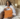 Lessons from CNBC's Make It: Founder & CEO Anima Iris