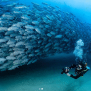 Los Cabos Shines as a Global Wellness Destination