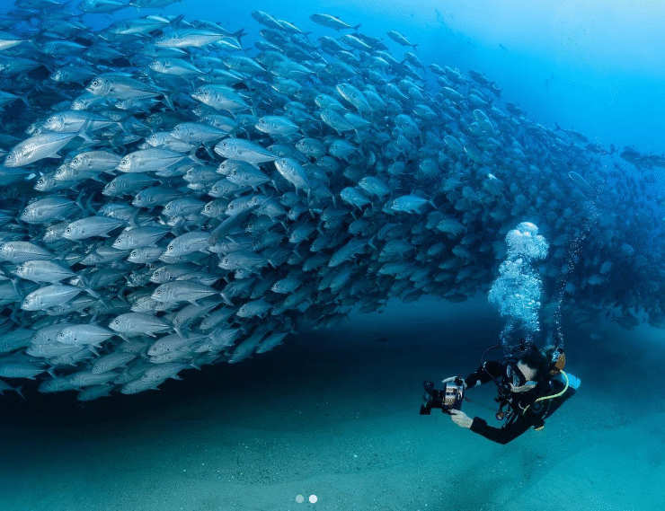 Los Cabos Shines as a Global Wellness Destination