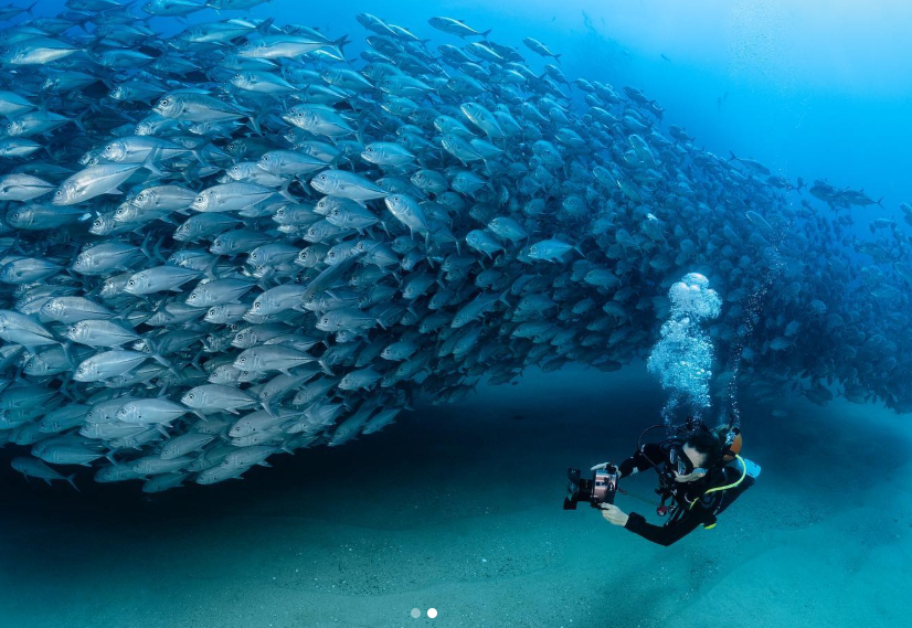 Los Cabos Shines as a Global Wellness Destination