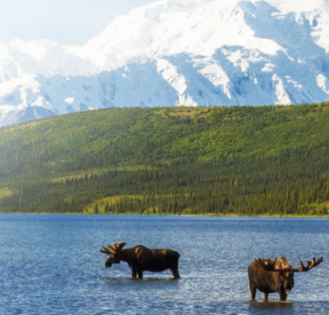 Oceania Cruises launches Gérard Bertrand wine pairing at sea