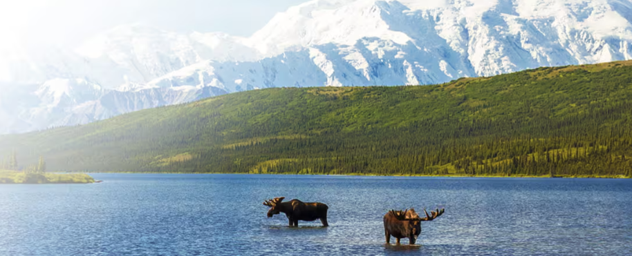 Oceania Cruises launches Gérard Bertrand wine pairing at sea